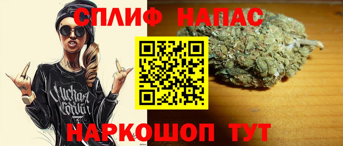 Бошки марихуана сатива Волгоград